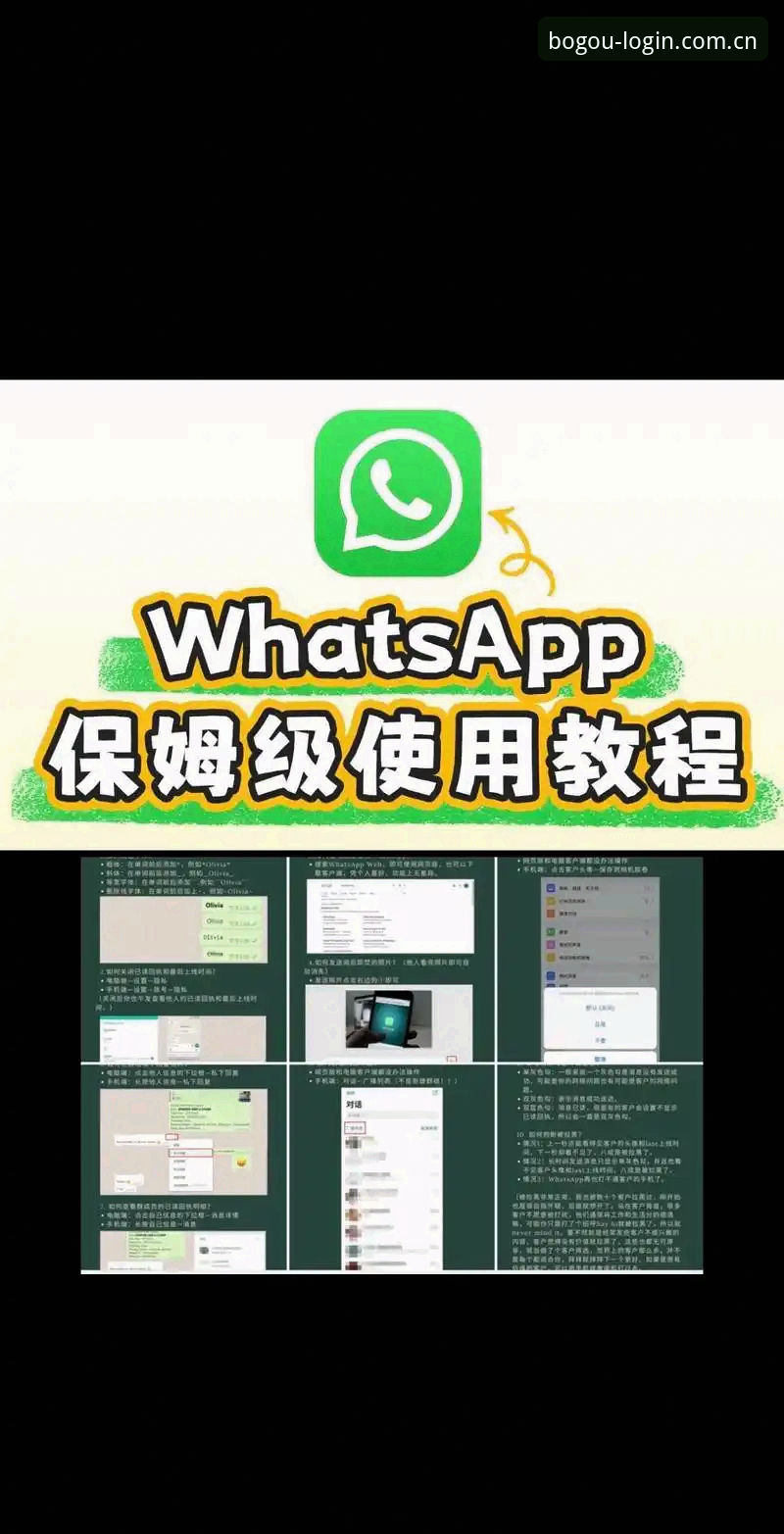 博狗体育平台APP的10大技术亮点：2025新版实测对比与下载指南